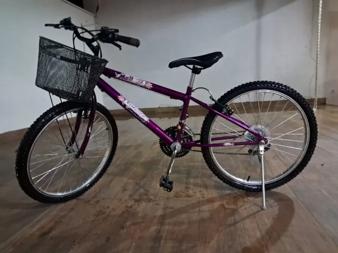 Bicicleta Gilmex aro 24 