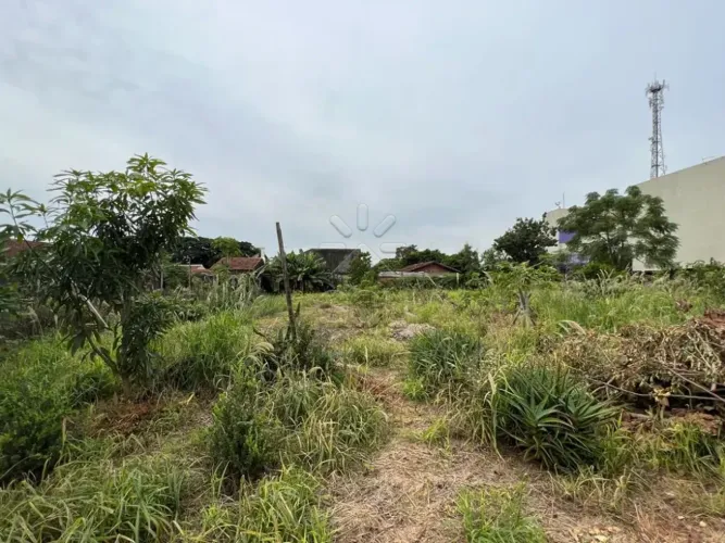 Chácara à venda em Santa Terezinha de Itaipu