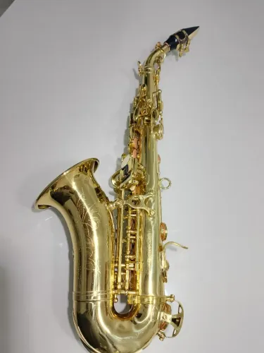 sax soprano curvo shelter