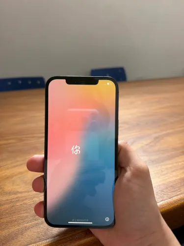 iPhone 12 Pro Max 