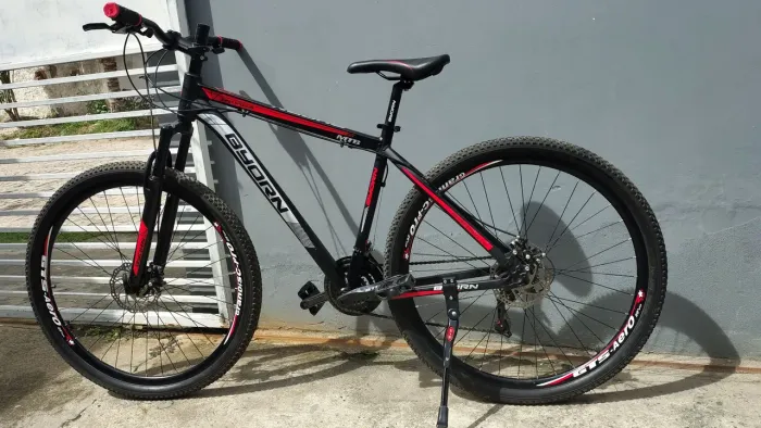 Bicicleta aro 29