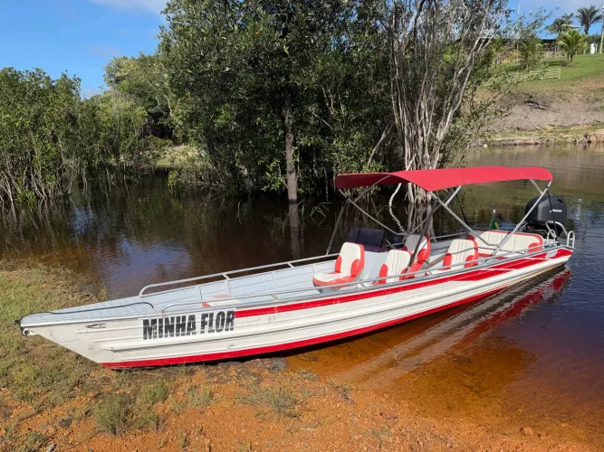 Vendo barco com motor Mercury 60 hp 4 tempos  