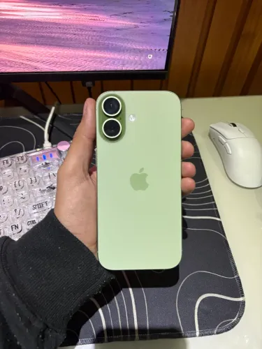 iPhone 17 Sage