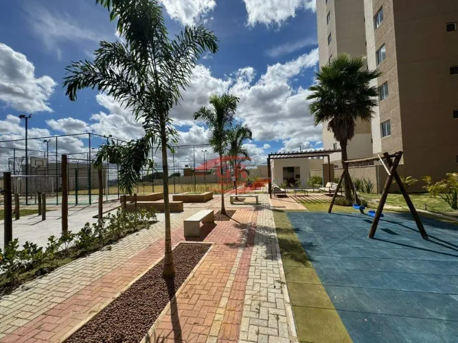 Apartamento com área privativa para aluguel, 1 quarto, 1 vaga, Palmeiras - Belo Horizonte/