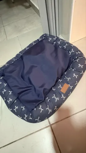 Caminha para Cachorro