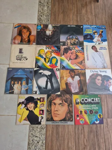 Lote de discos de vinil por 350 reais