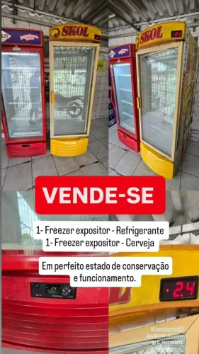 FREEZER EXPOSITOR