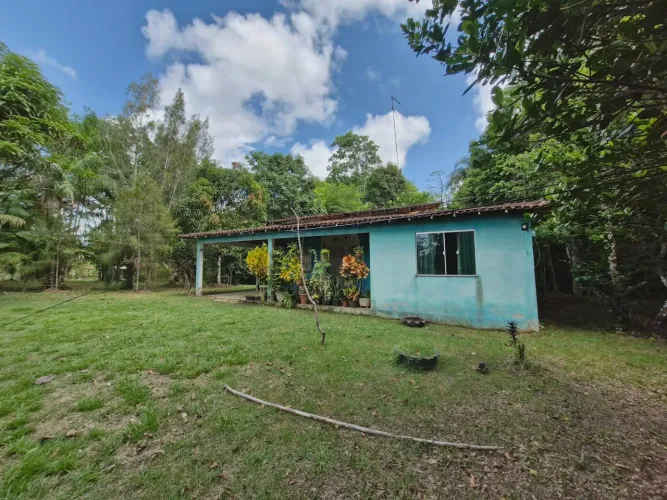 Vendo Sítio no Ramal Ninive ( alça Viária) com Igarape