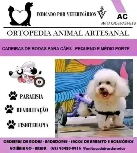Cadeiras de rodas para cães e gatos