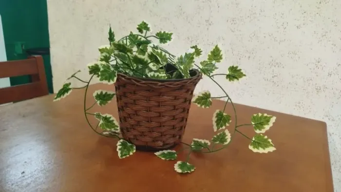 Plantas artificiais decorativas, aprox. 15 cm