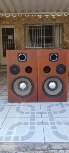 Caixa de som com 12 polegadas 