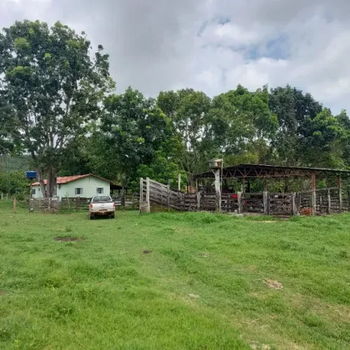 Fazenda 35 Alq | 3 Represas + Córrego | Estruturada | Pronta p/ Produção