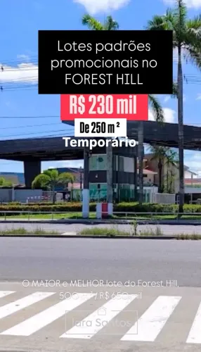 Lotes planos 100% documentados desmatados, prontos pra construir