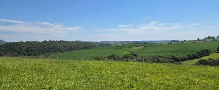 Terreno Campo Verde