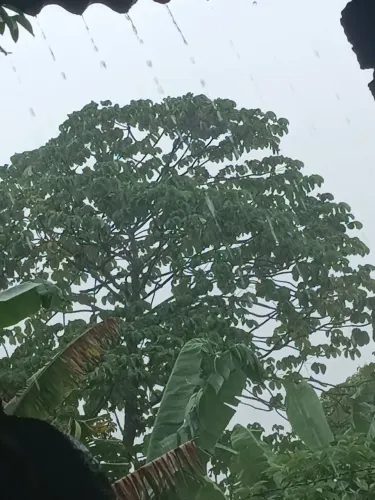 Alguém com terreno pra vender em Mataraca pb