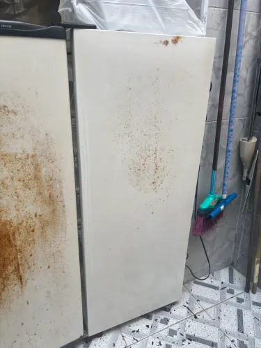 Freezer cônsul 