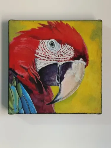 Pintura À Óleo Arara Vermelha - Quadro Decorativo 20x20 cm
