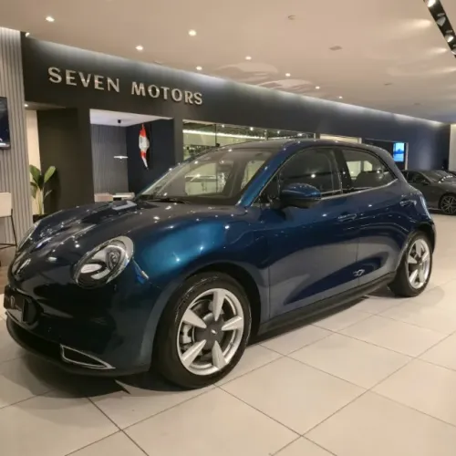 GWM Ora 03 Skin (elétrico) 2024