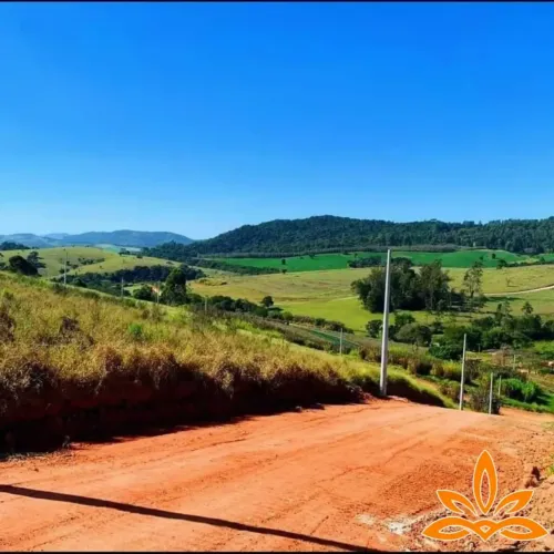 A Oportunidade que Você Esperava para Lar