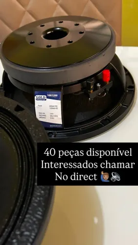 Auto falantes Gold 10? Polegadas 