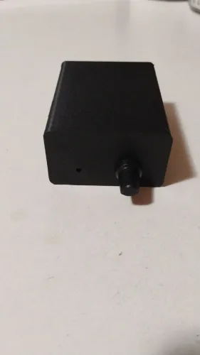 Amplificador para subwoofer 100W TPA3116