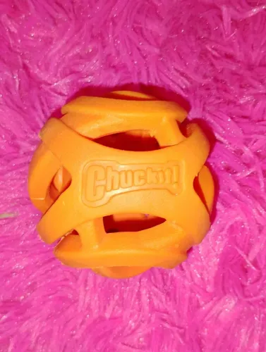Bola para pet 