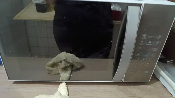 microondas