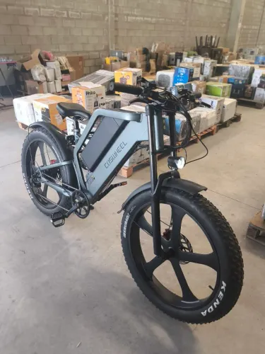 E-BIKE COSWHELL T 26