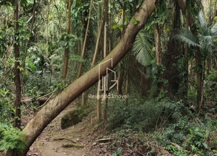 Terreno à venda em São Paulo-SP, bairro Sete Praias - 750,00 m² de área!