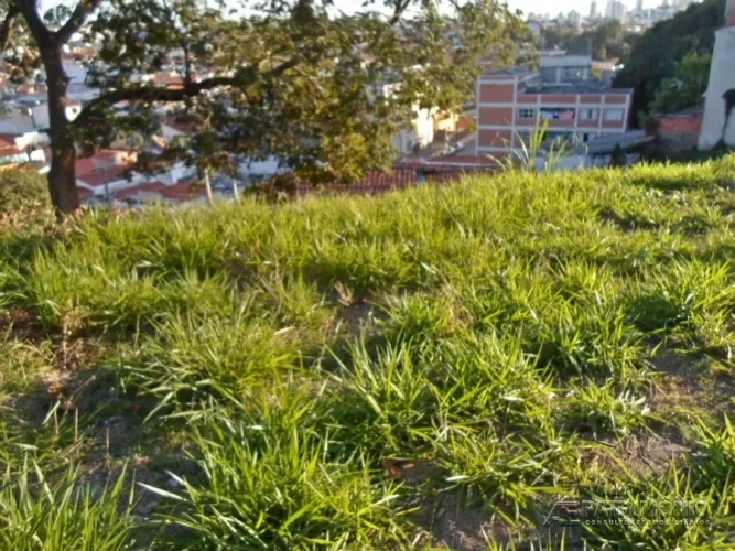 TERRENO,0 Dormitorio(s) bairro Haro