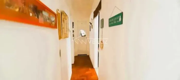 Apartamento : Padrão / Residencial / Botafogo