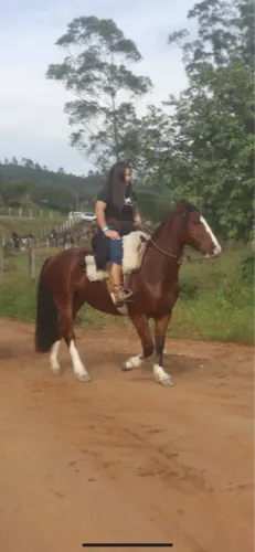 Égua Crioula