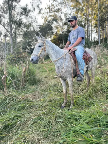 Égua para criança.