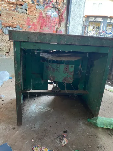 Tupia