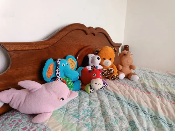 ursos de pelúcia ?