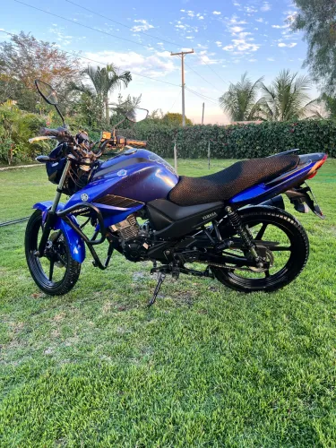 YS FAZER 2022