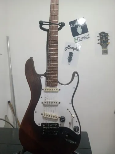 Atenção Guitarristas(captadores Malagoli)