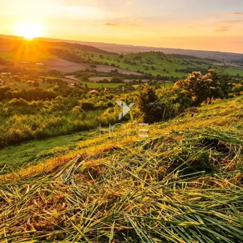 Terreno em Condomínio à Venda 7.300m² Condomínio de Chácaras Itaúna Ibiporã/PR