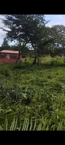 Vende-se terreno plano,bom pressso