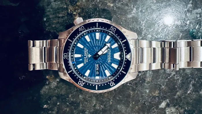 Relogio CITZEN Promaster Dive Fugu Automatic