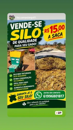 Vende-se Silo