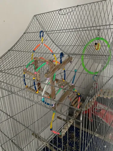 Gaiola para passaros