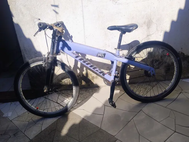 Vendo ou troco bike t-type por um terrário para animal exótico!