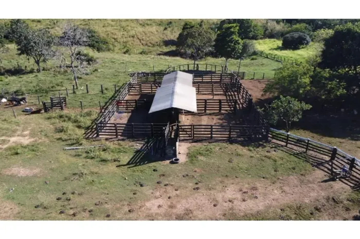 "Excelente Fazenda de um preço negociável em Nova Xavantina"