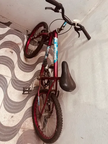 Bicicleta Infantil