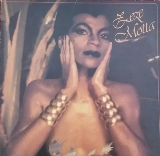 Disco de Vinil 