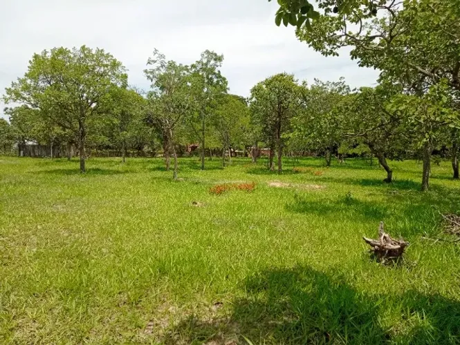 Terreno 20.146 m² plano