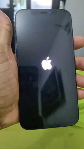 iPhone 12 mini