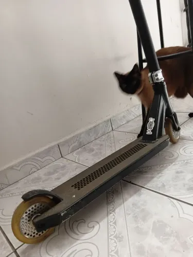 Patinete de manobra