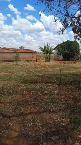 Fazenda - Jales - Zona Rural
